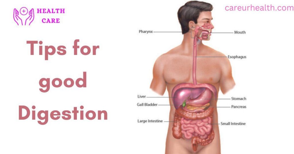 Tips for good Digestion