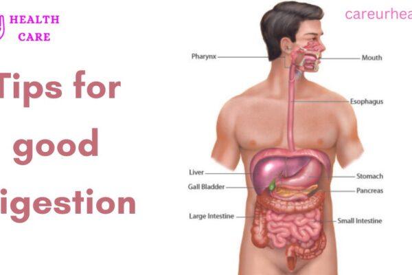 Tips for good Digestion