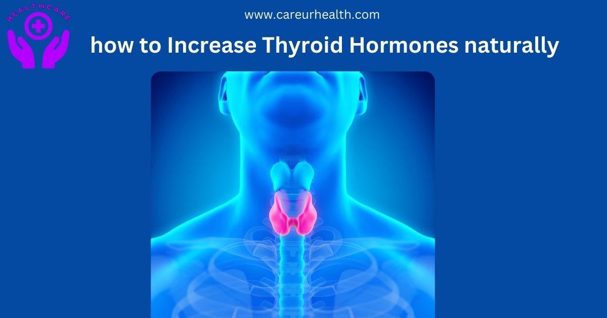 Natural Ways on How to Increase Thyroid Hormones Naturally: A Comprehensive Guide