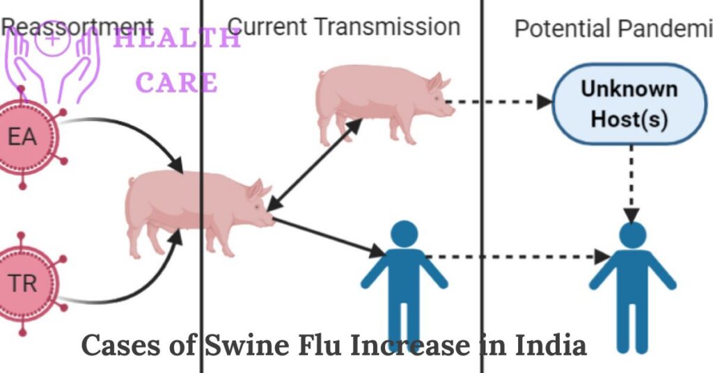 Cases of Swine Flu Increase in India