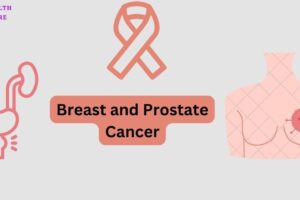 How emulsifiers increase the risk of Breast and Prostate cancer