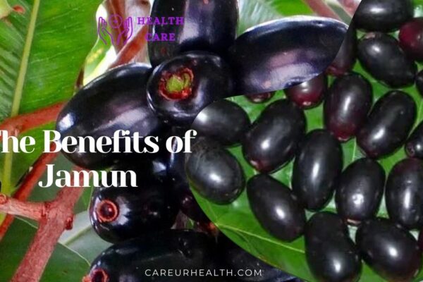 The Benefits of Eating Jamun: Exploring Its Nutritional Powerhouse