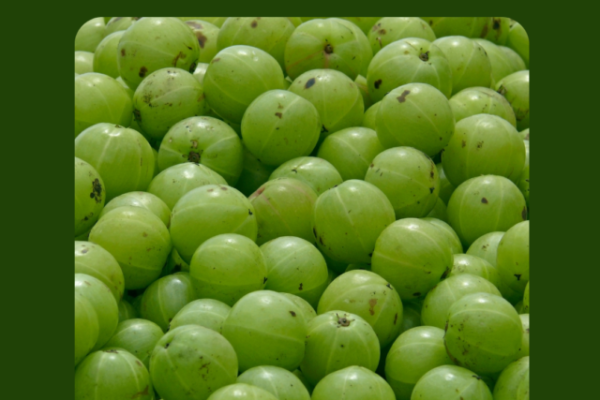 AMAZING HEALTH BENEFITS OF AMLA