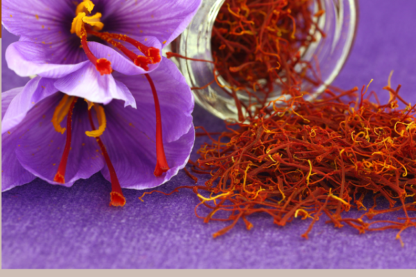 HEALTH BENEFITS OF SAFFRON