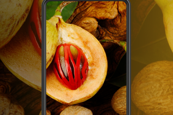 BENEFITS OF NUTMEG TO BOOST UP YOUR LIFE