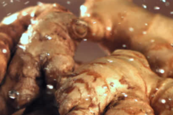 GINGER FOR WEIGHT LOSS