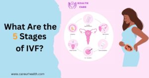 what are the 5 stages of ivf