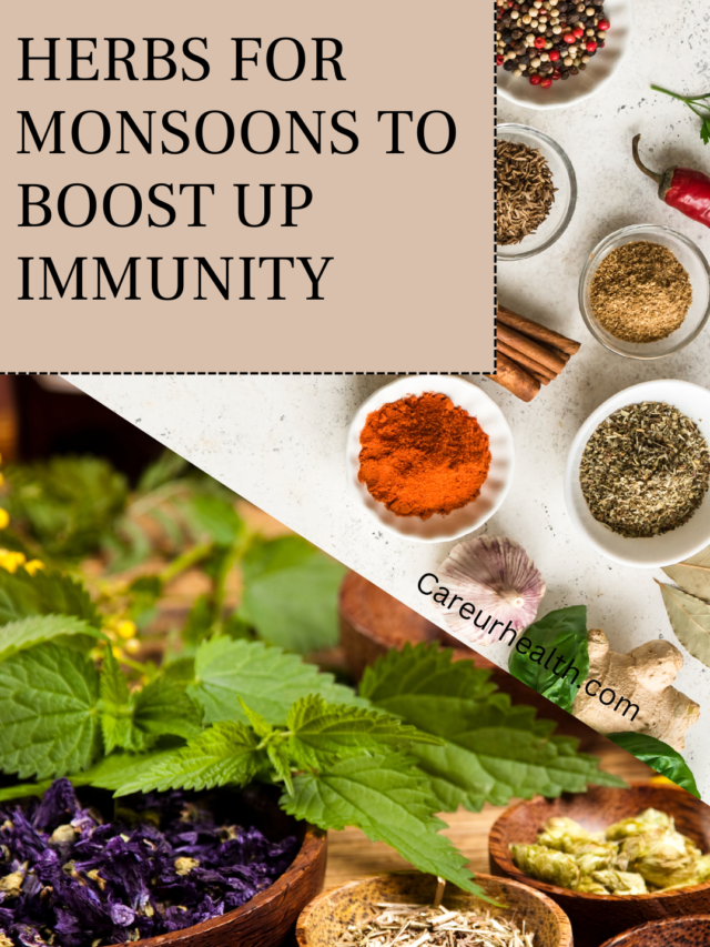 HERBS FOR MONSOONS TO BOOST UP IMMUNITY