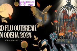 Bird Flu Outbreak in Odisha 2024: A Comprehensive Overview of the Crisis and Its Impact