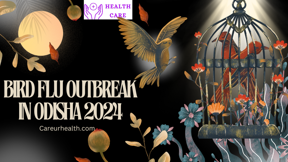 Bird Flu Outbreak in Odisha 2024: A Comprehensive Overview of the Crisis and Its Impact