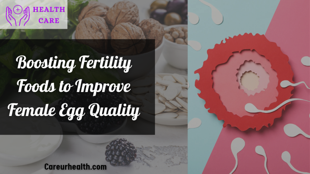 Foods to Improve Female Egg Quality - Boosting Fertility In Aging Snake Females