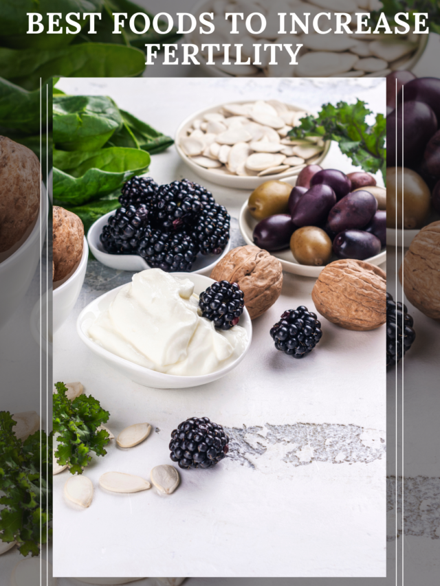 BEST FOOD TO INCREASE FERTILITY