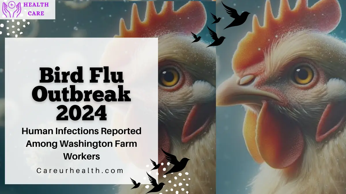 Bird Flu Outbreak 2024: Human Infections Reported Among Washington Farm Workers